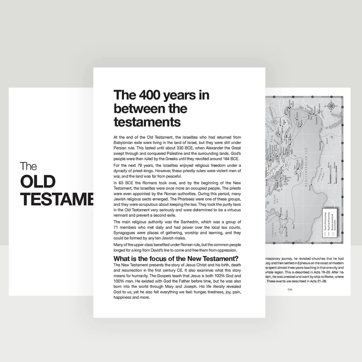 The 'Read This' Bible – Dappled Black Edition