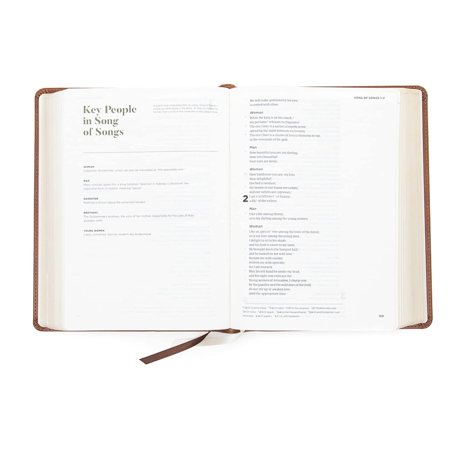 CSB He Reads Truth Bible-LeatherTouch, saddle
