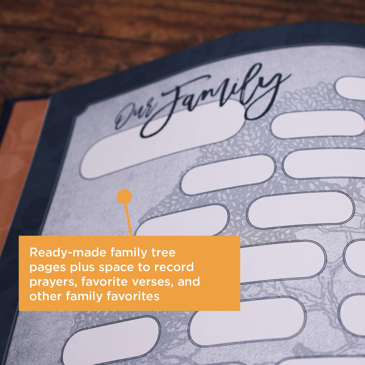 NIV Our Family Story Bible – A Keepsake Bible