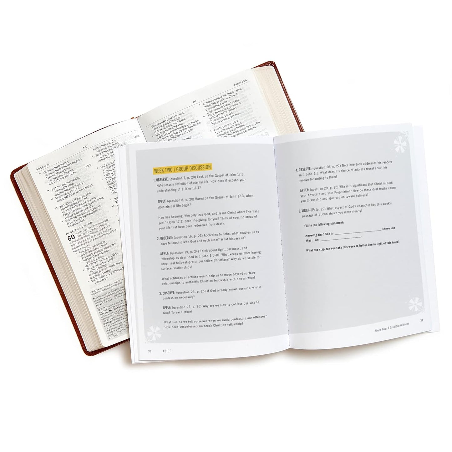 Abide: A 10-Session Bible Study on 1, 2, & 3 John