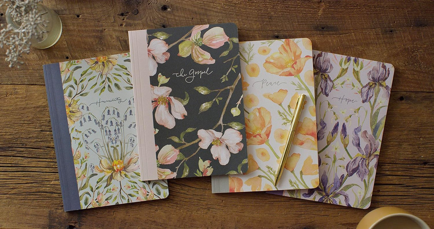 ESV Prayer Journal: 30 Days on Hope