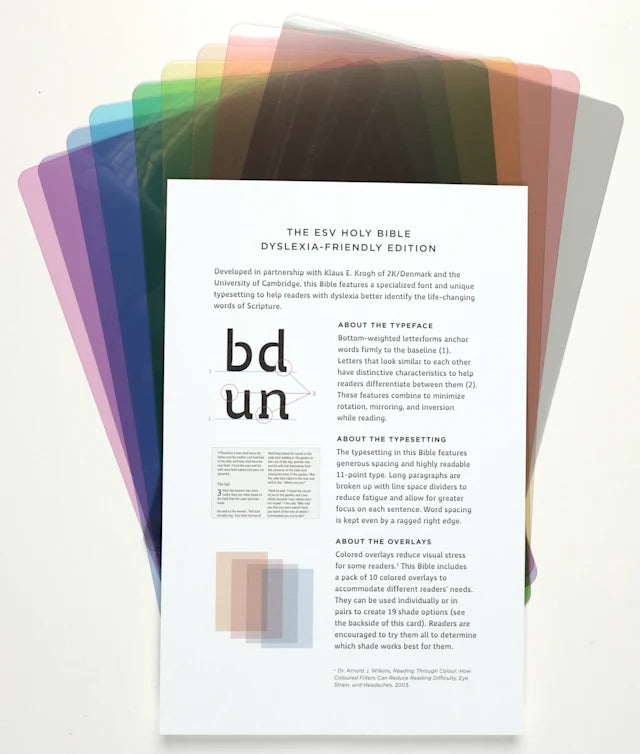 ESV Holy Bible: Dyslexia-Friendly Edition – Brown
