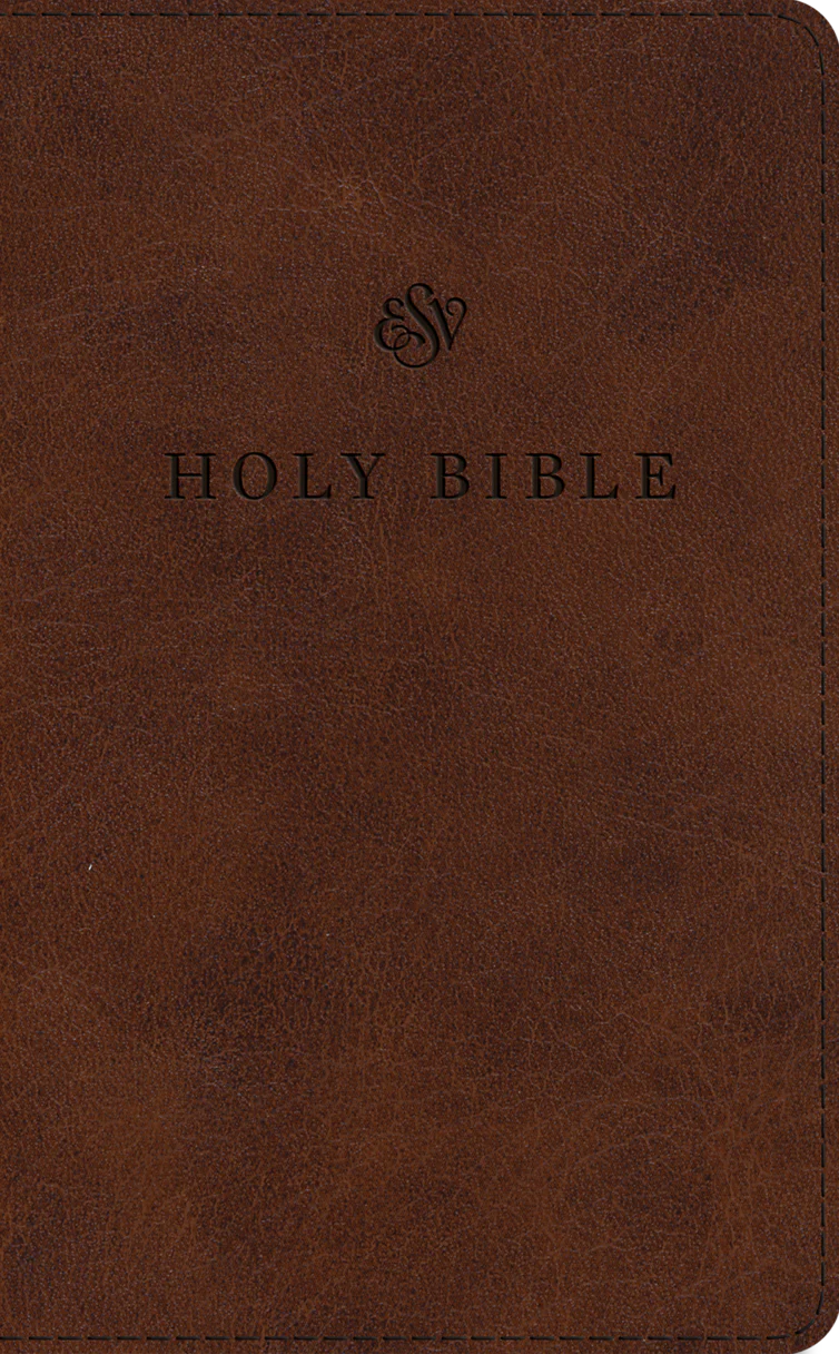 ESV Large Print (Brown)