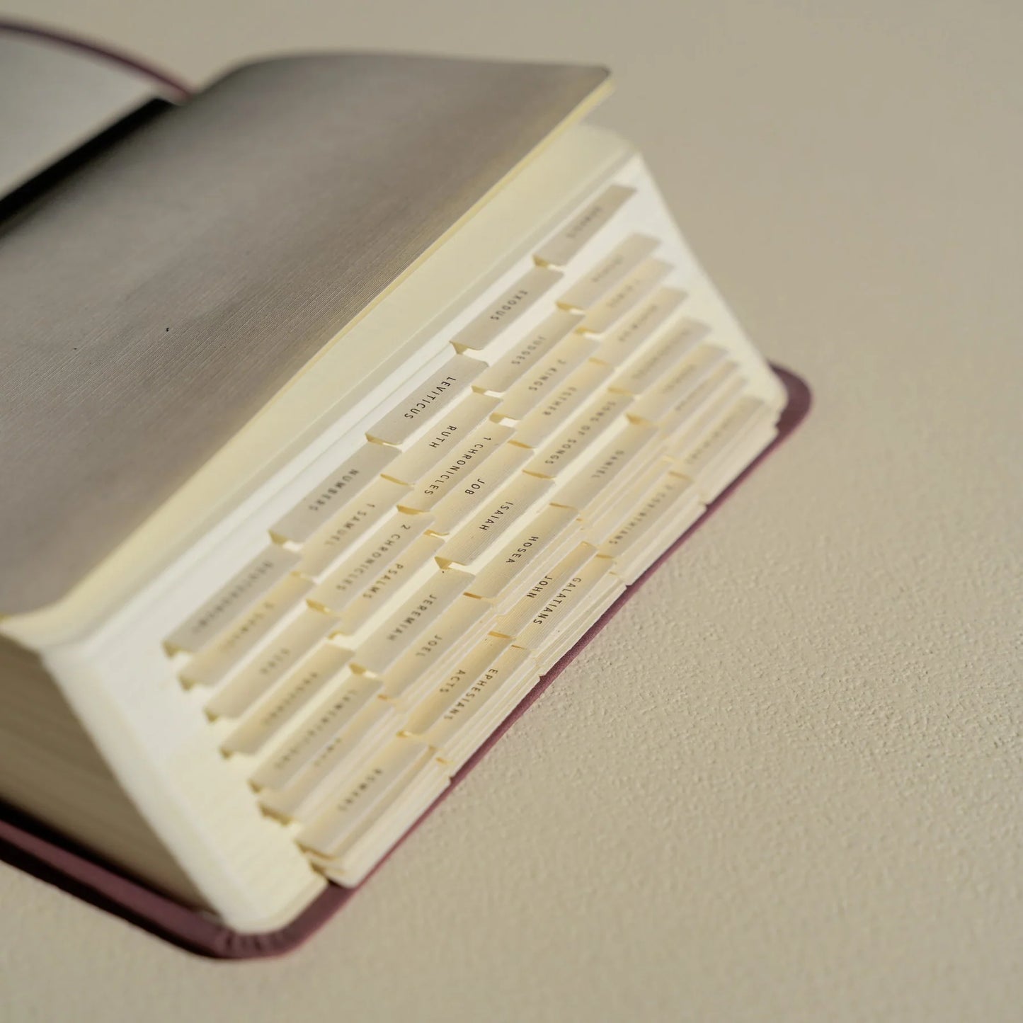 Hosanna Revival Bible Tabs – Black