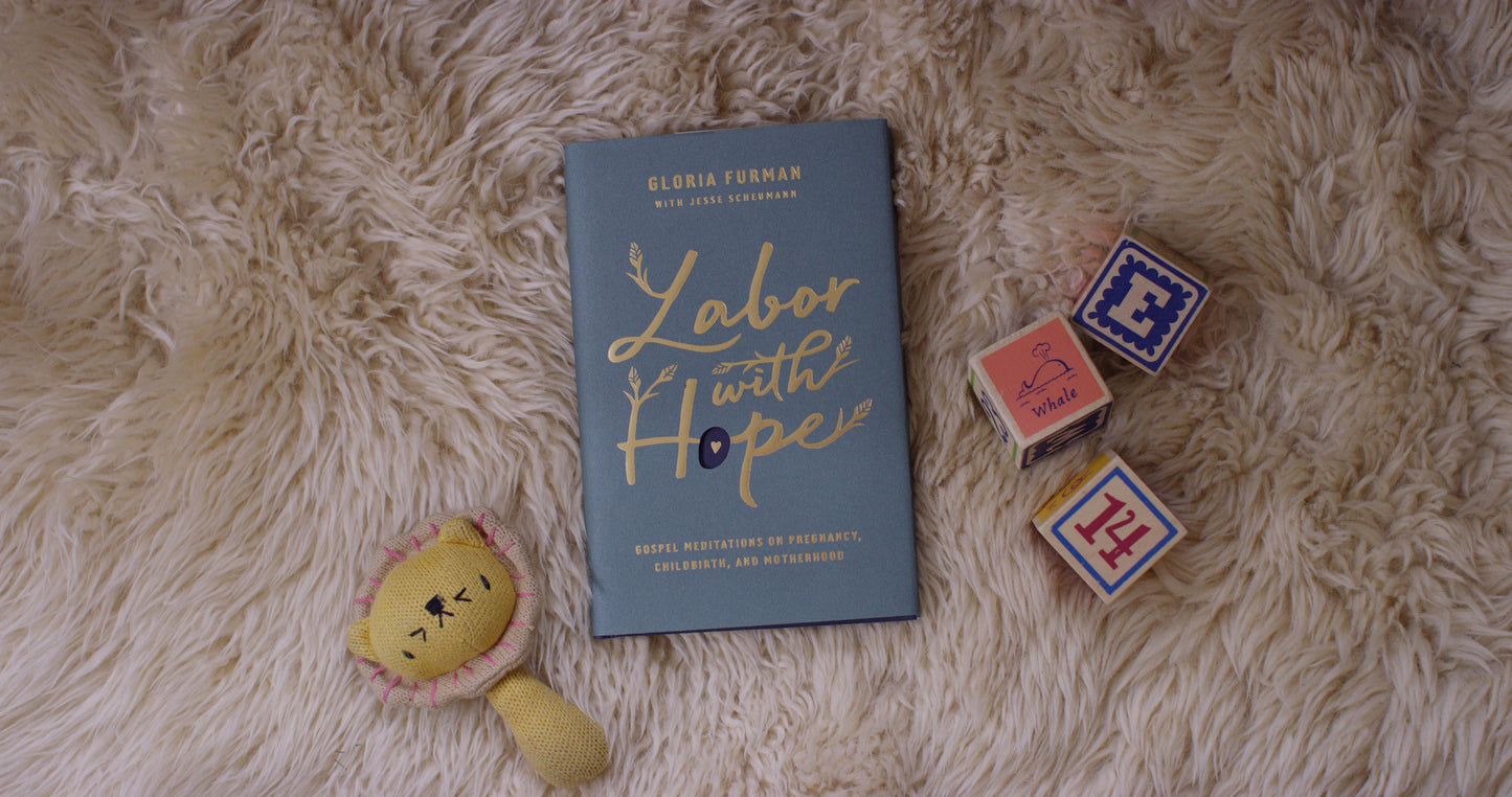 Labor with Hope: Gospel Meditations on Pregnancy, Childbirth, and Motherhood