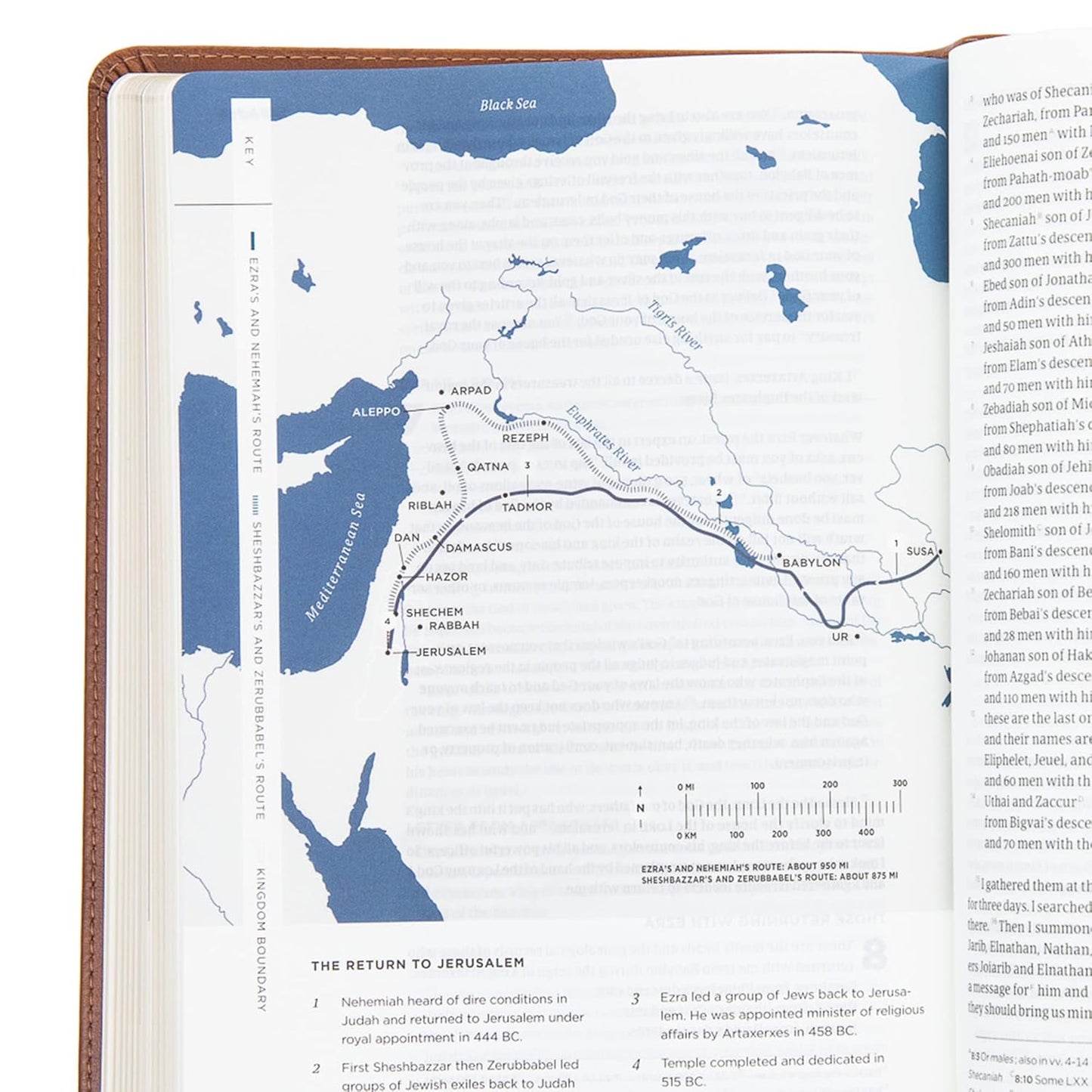 CSB He Reads Truth Bible-LeatherTouch, saddle