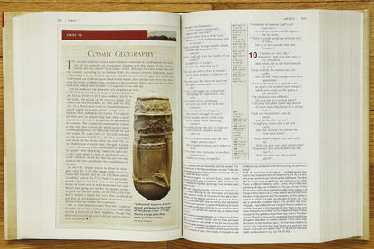 NIV Cultural Backgrounds Study Bible (Red Letter Edition)