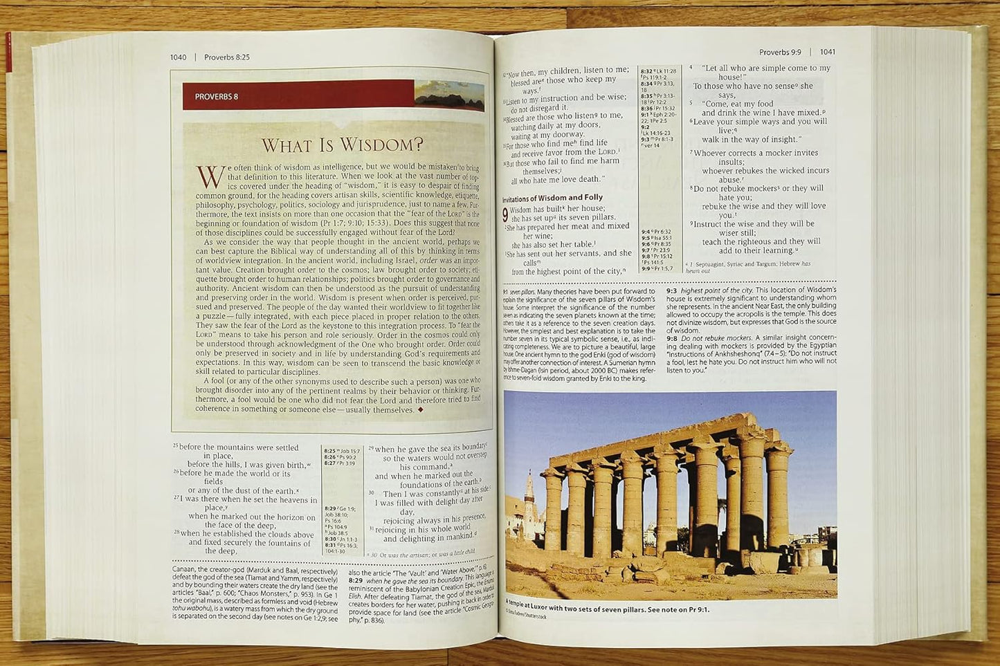 NIV Cultural Backgrounds Study Bible (Red Letter Edition)