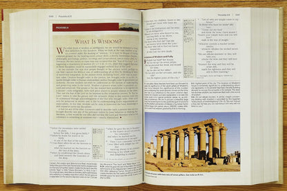 NIV Cultural Backgrounds Study Bible (Red Letter Edition)
