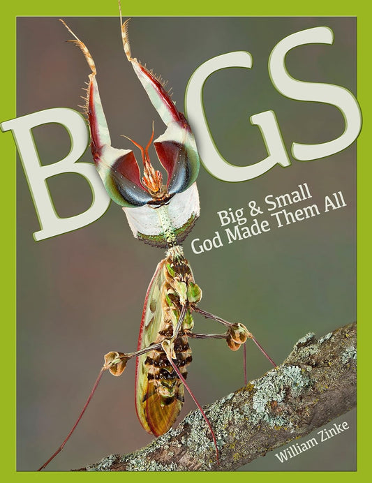 Bugs: Big & Small God Made Them All