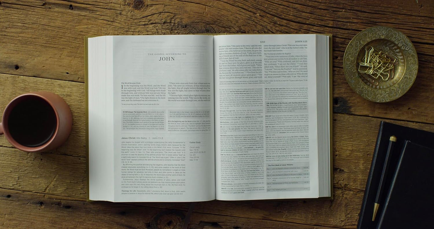 Systematic Theology Study Bible ESV