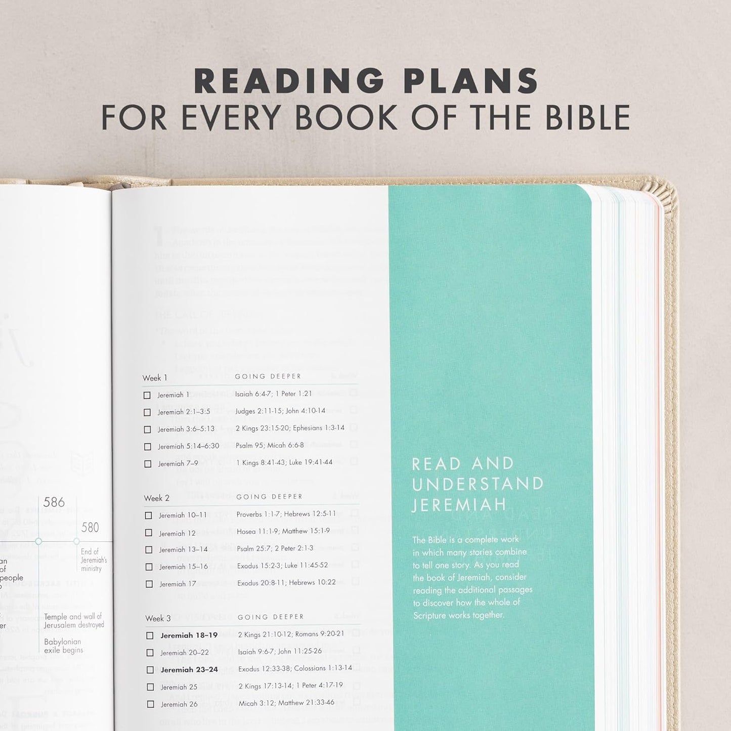 CSB She Reads Truth Bible-Imitation Leather, champagne (indexed)