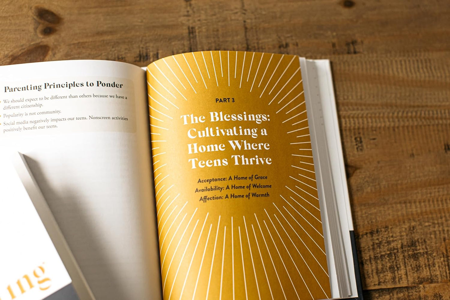 Parenting with Hope: Raising Teens for  Christ in a Secular Age