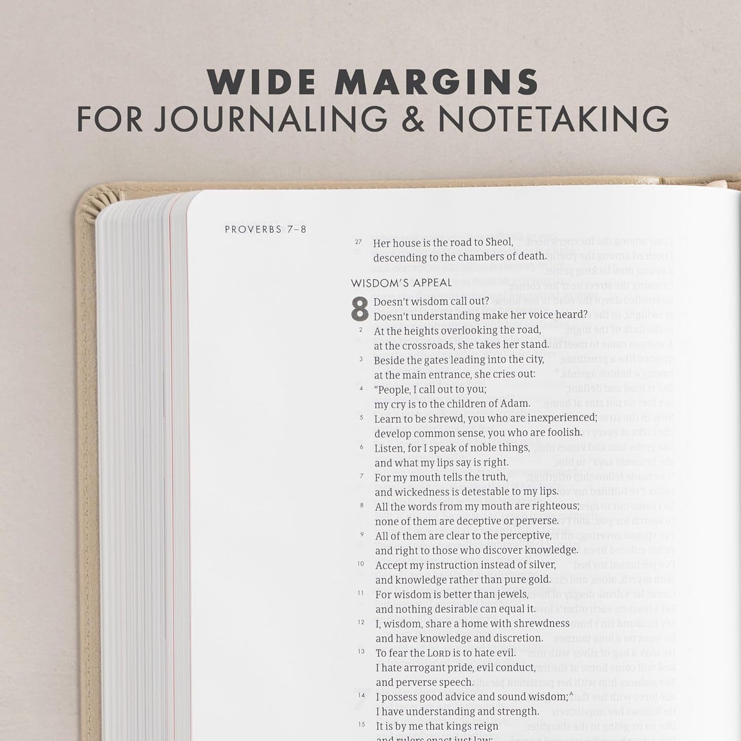 CSB She Reads Truth Bible-Imitation Leather, champagne (indexed)