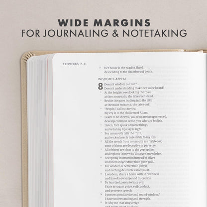 CSB She Reads Truth Bible-Imitation Leather, champagne (indexed)