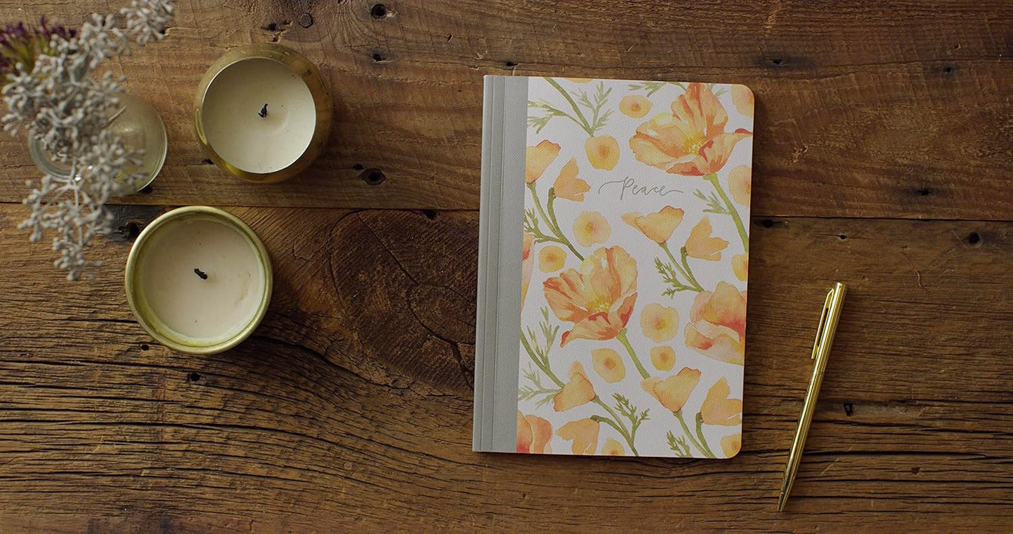 ESV Prayer Journal: 30 Days on Peace