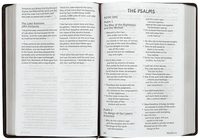 ESV Holy Bible: Dyslexia-Friendly Edition – Brown
