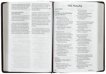 ESV Holy Bible: Dyslexia-Friendly Edition – Brown