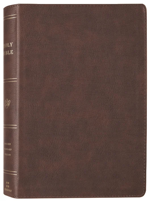 ESV Holy Bible: Dyslexia-Friendly Edition – Brown