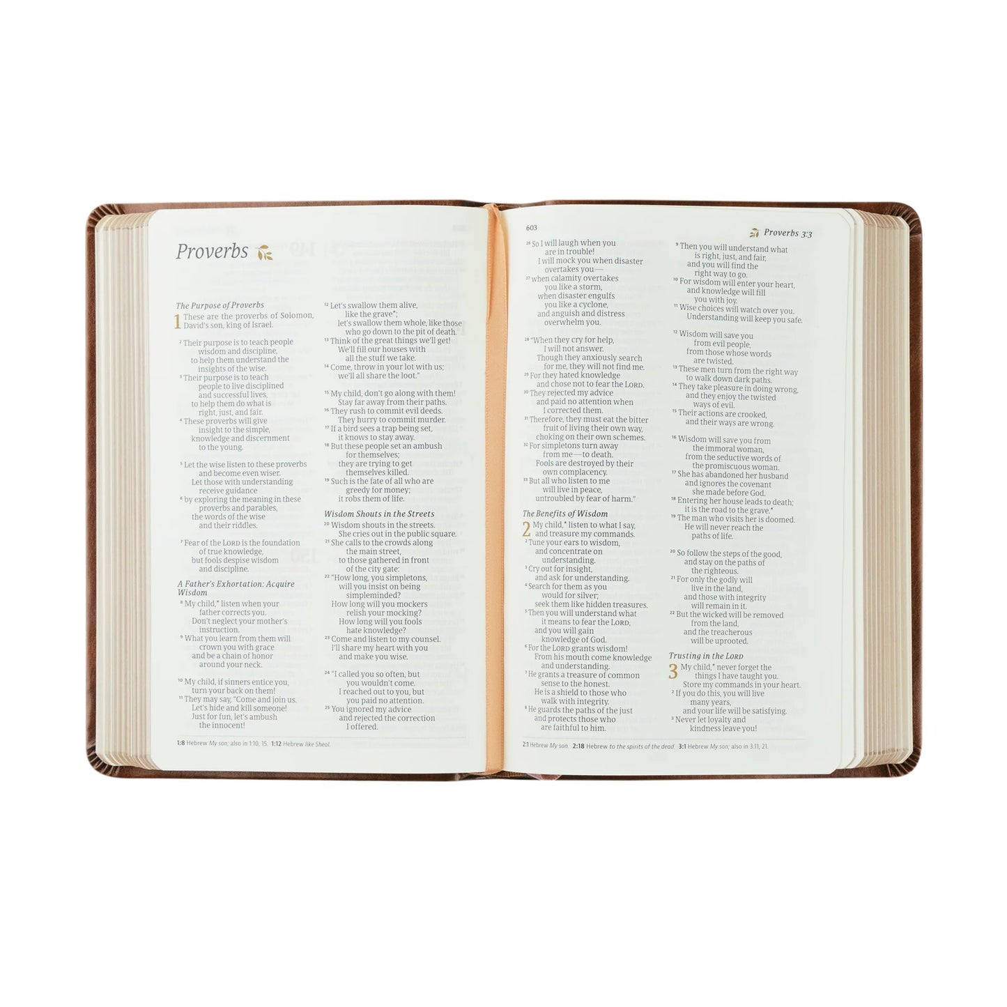 Hosanna Revival NLT Compact Bible: Aurora Theme