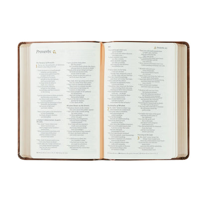 Hosanna Revival NLT Compact Bible: Aurora Theme