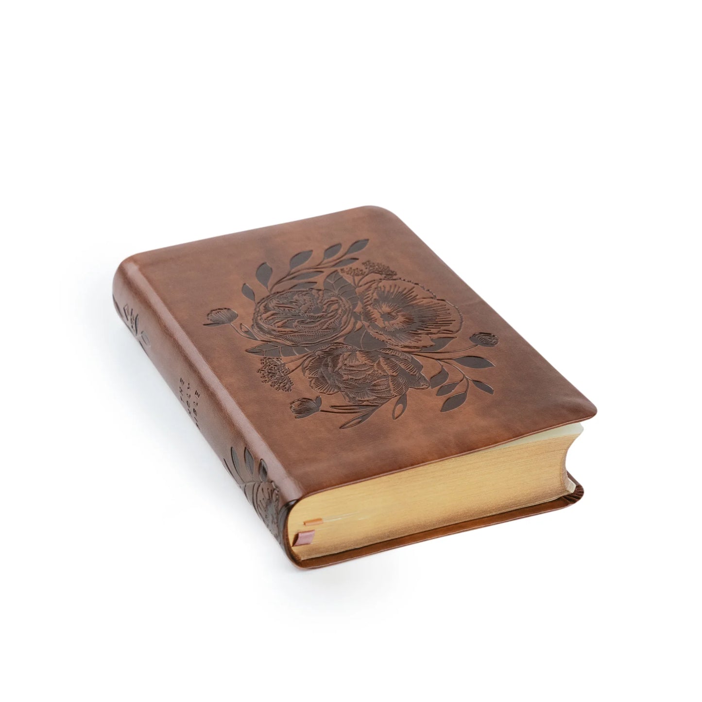 Hosanna Revival NLT Compact Bible: Aurora Theme