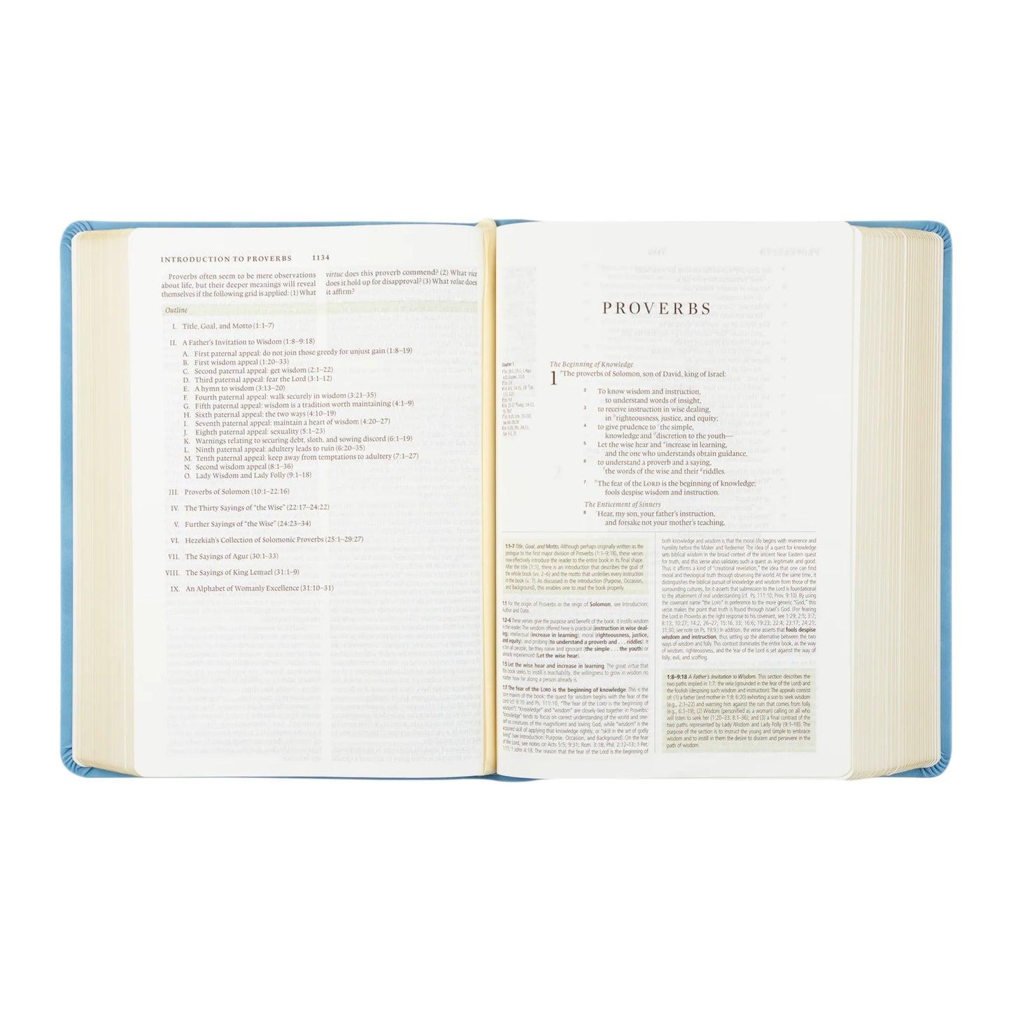 Hosanna Revival ESV Study Bible – Bethany Theme