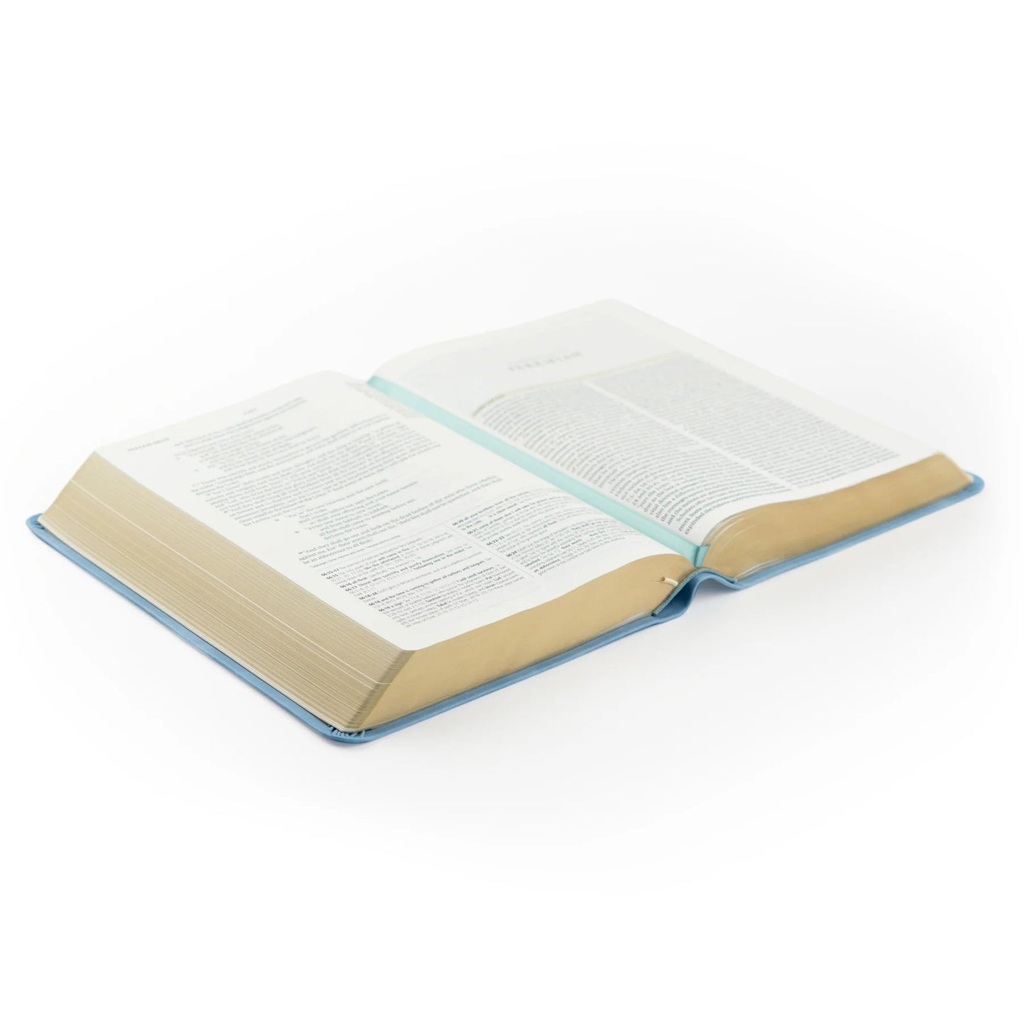 Hosanna Revival ESV Study Bible – Bethany Theme
