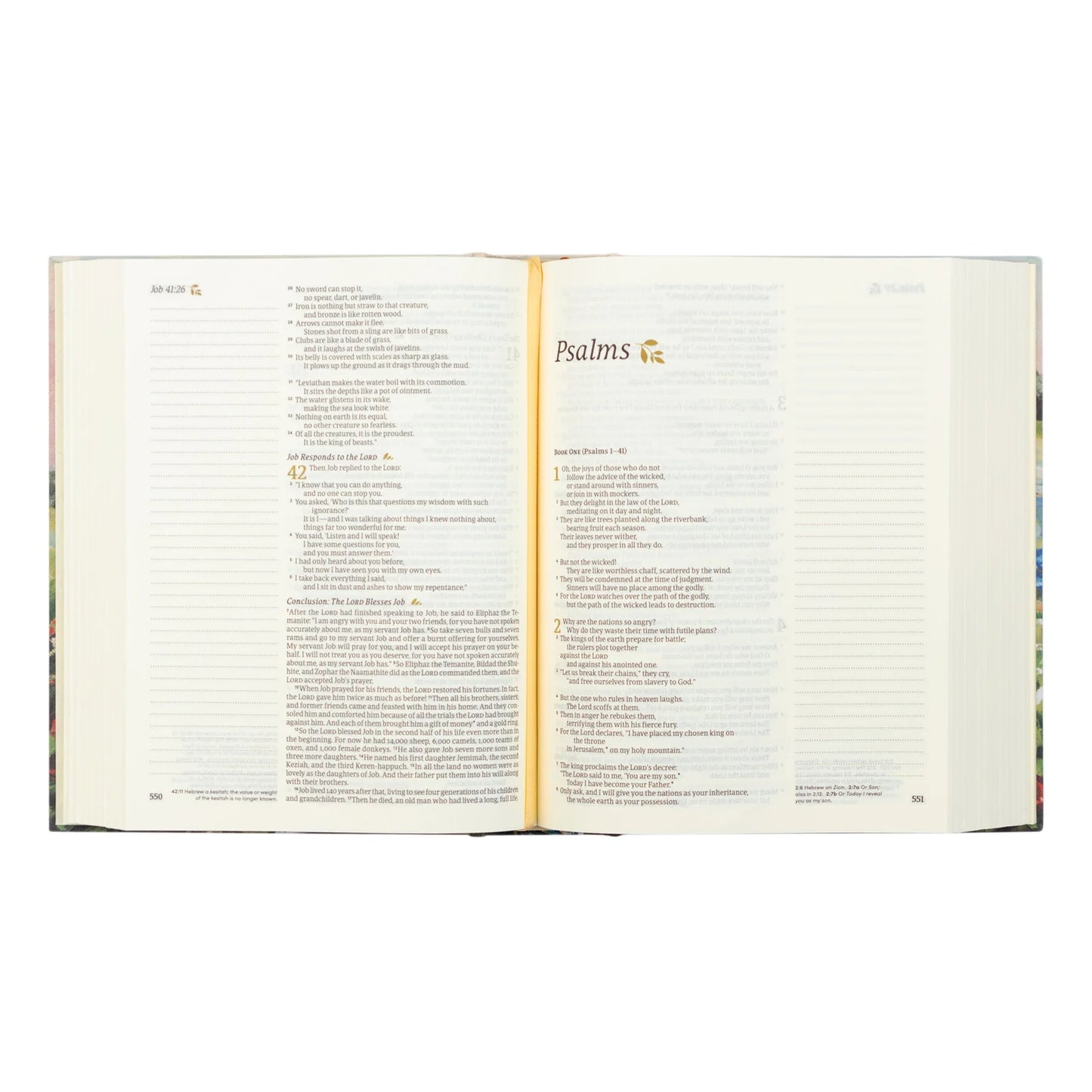 Hosanna Revival NLT Notetaking Bible – Coram Theme