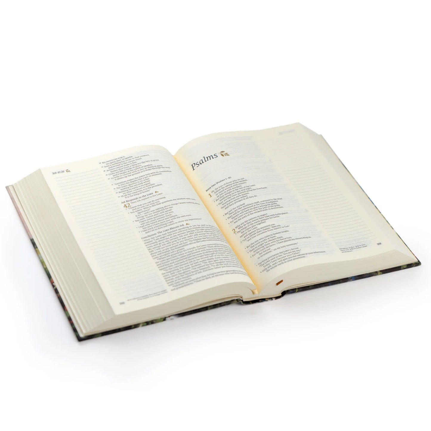 Hosanna Revival NLT Notetaking Bible – Coram Theme