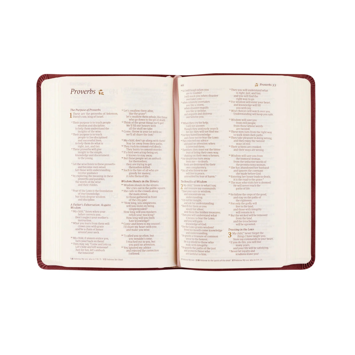 Hosanna Revival NLT Compact Bible: Helena Theme