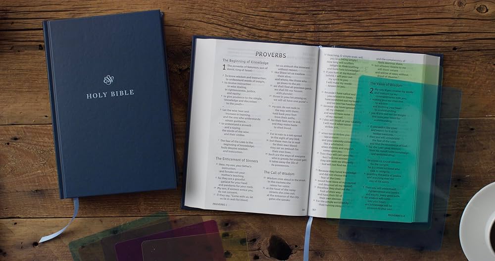 ESV Holy Bible: Dyslexia-Friendly  Edition (Hardcover)