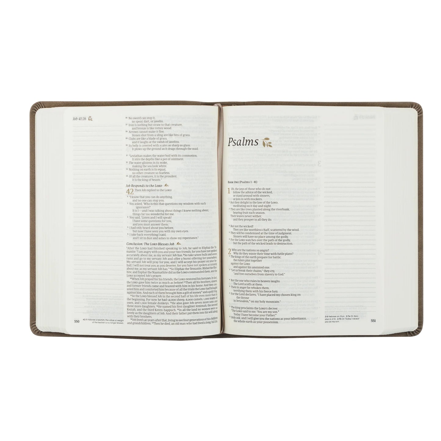Hosanna Revival NLT Notetaking Bible – Marlo Theme