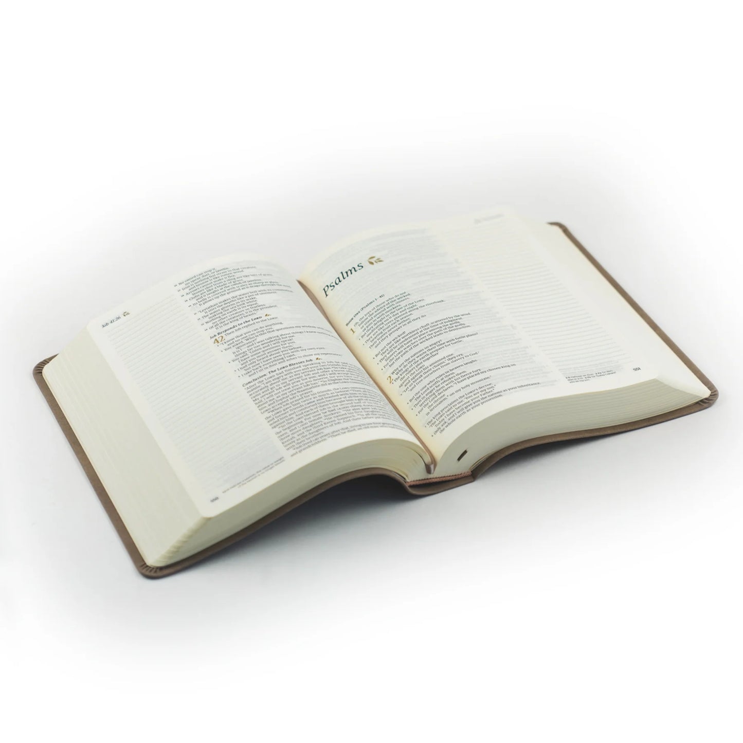 Hosanna Revival NLT Notetaking Bible – Marlo Theme
