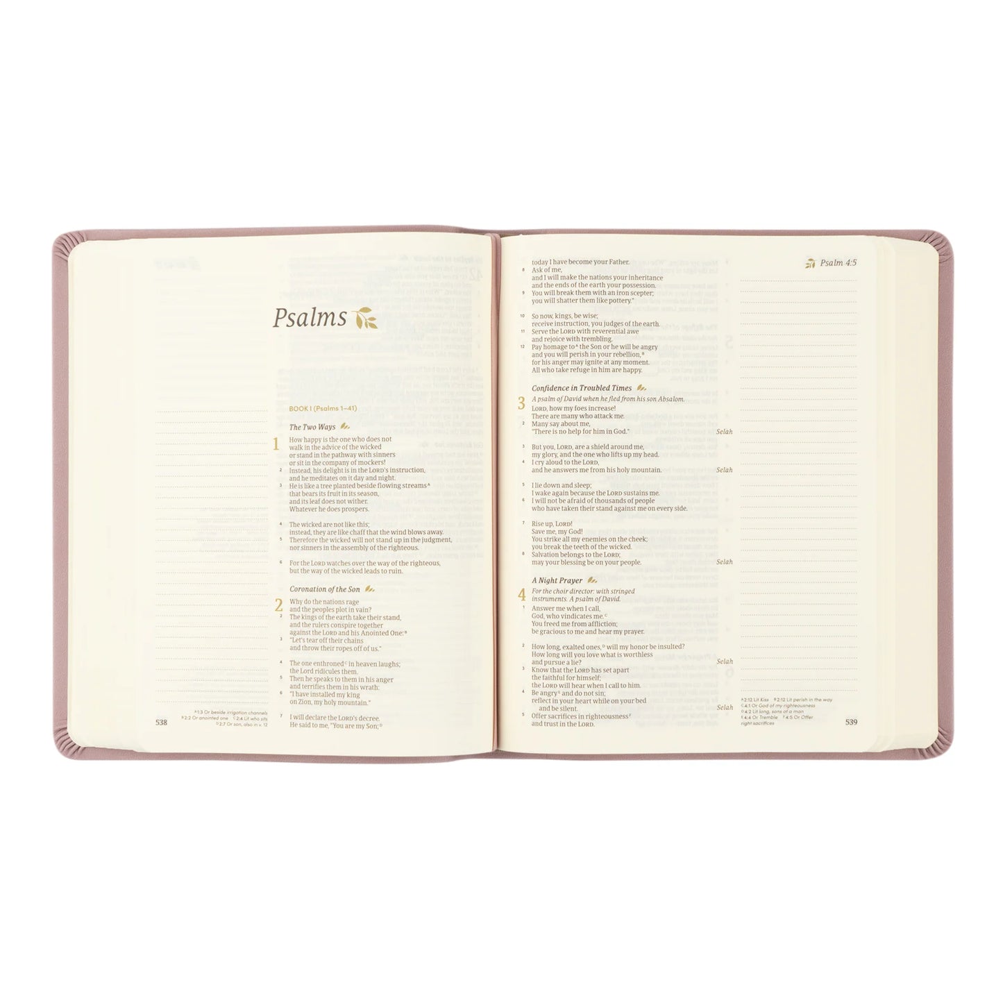 Hosanna Revival CSB Notetaking Bible – Mauves Theme