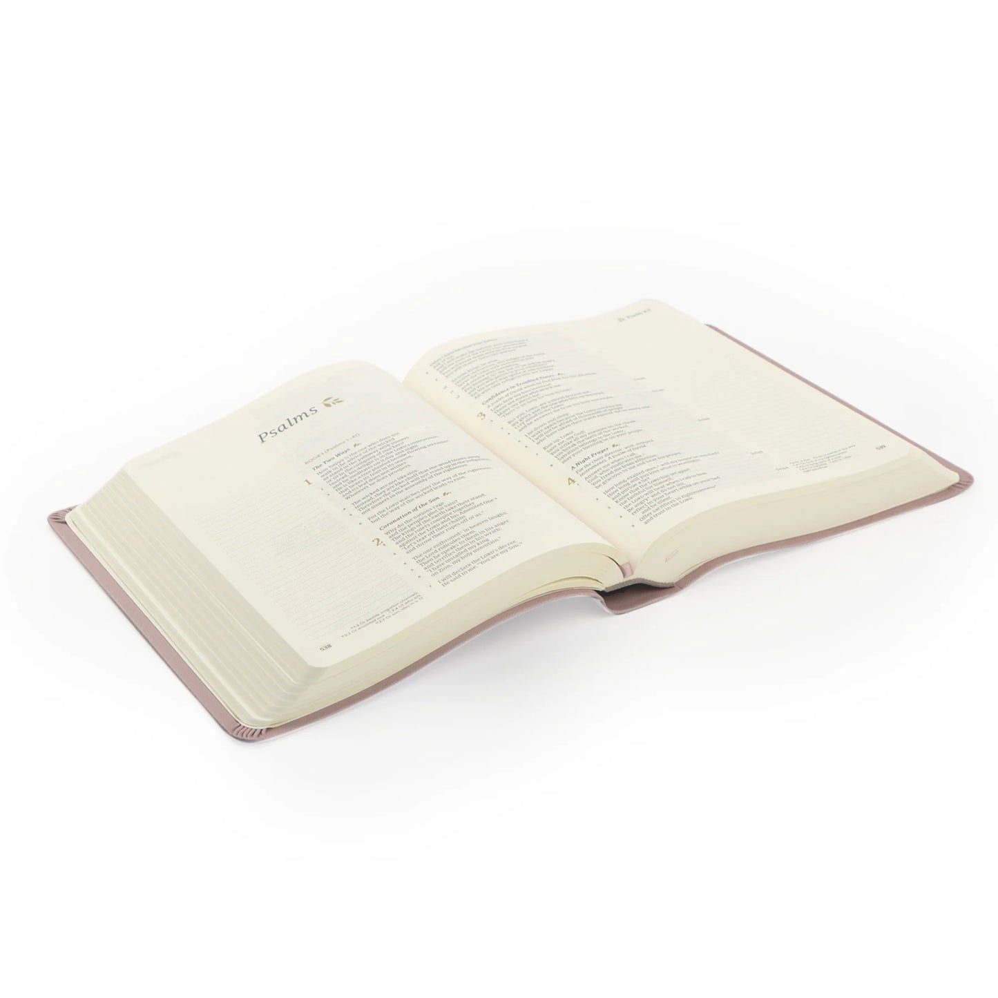 Hosanna Revival CSB Notetaking Bible – Mauves Theme