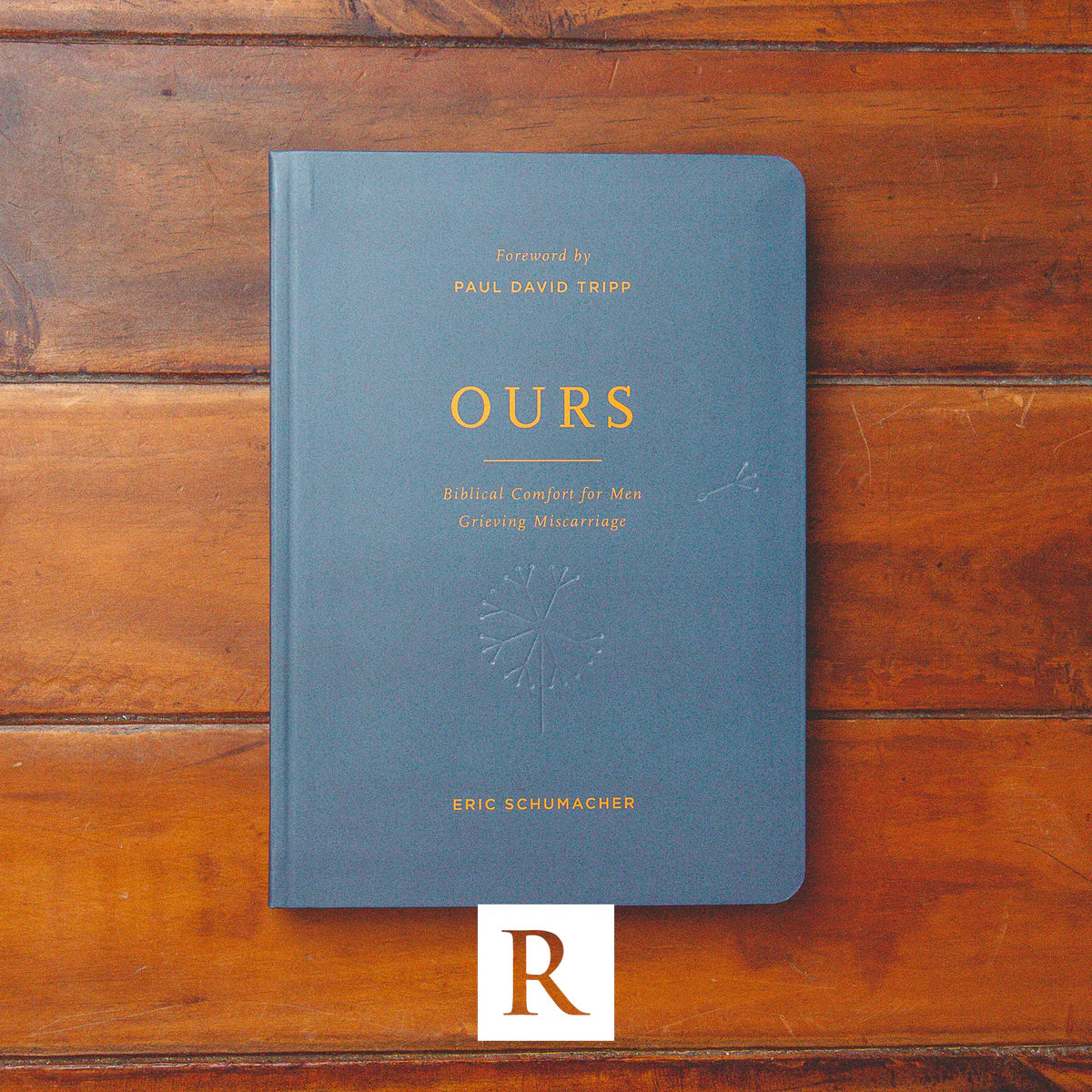 Ours: Biblical Comfort for Men Grieving Miscarriage