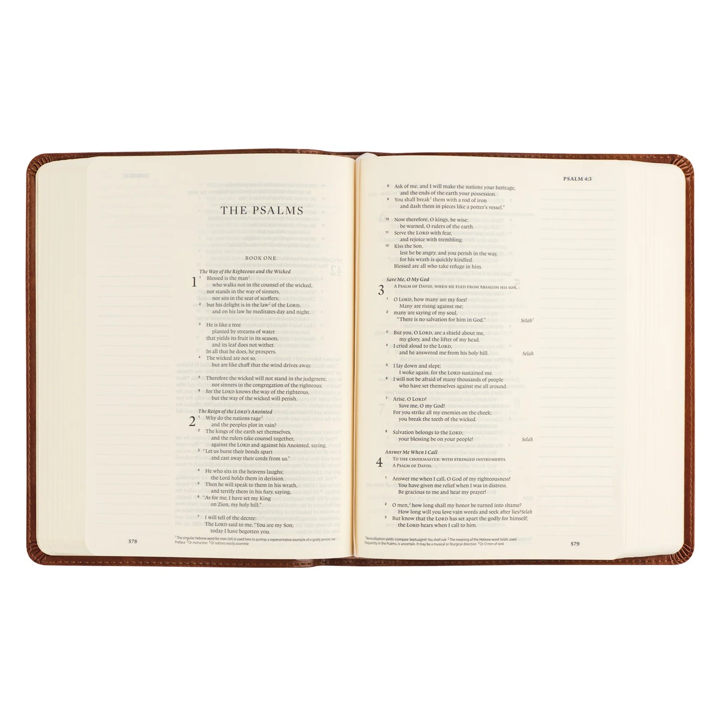 Hosanna Revival ESV Single Column Journaling Bible: Sierra Theme