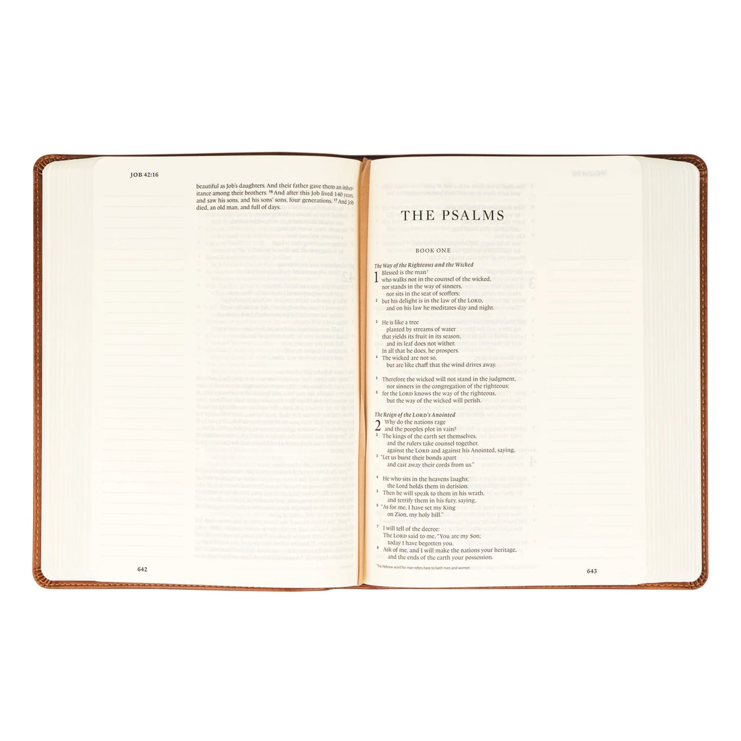Hosanna Revival ESV Large Print Journaling Bible – Sierra Theme