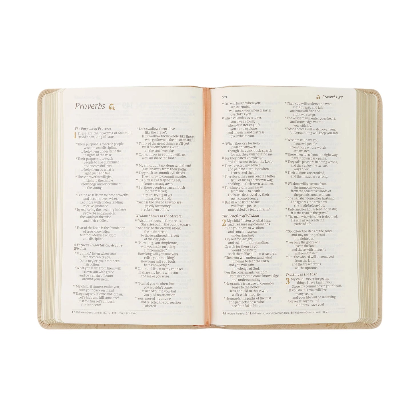 Hosanna Revival NLT Compact Bible: Sonora Theme