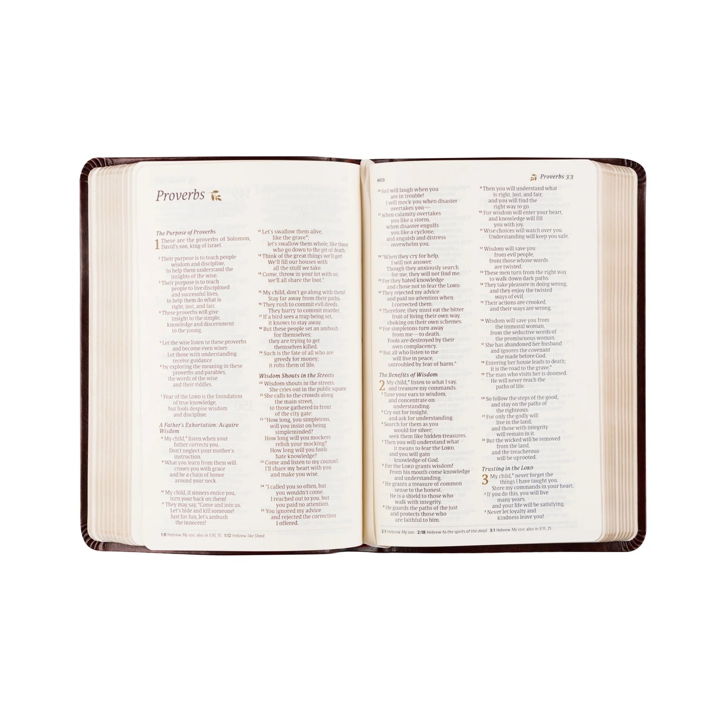 Hosanna Revival NLT Compact Bible: Yorkshire Theme