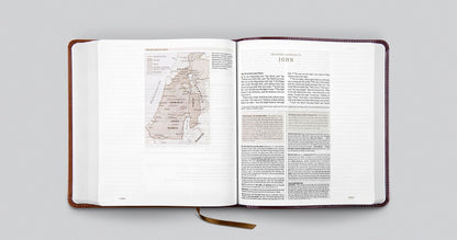 ESV Journaling Study Bible, TruTone®, Brown/Chestnut - Enhance Your Study with Comprehensive Insights