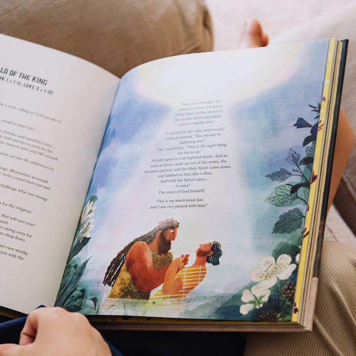 The Kingdom and the King Storybook Bible