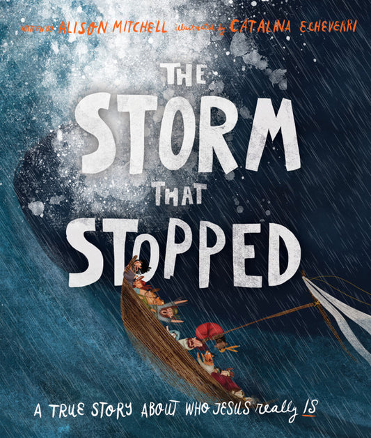 The Storm that Stopped by Alison Mitchell